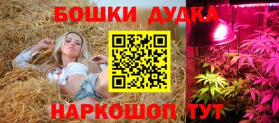 гашик Донской