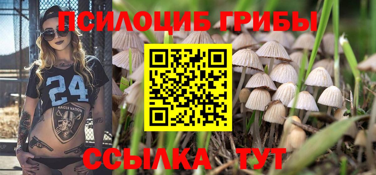 Псилоцибиновые грибы Magic Shrooms Кулебаки