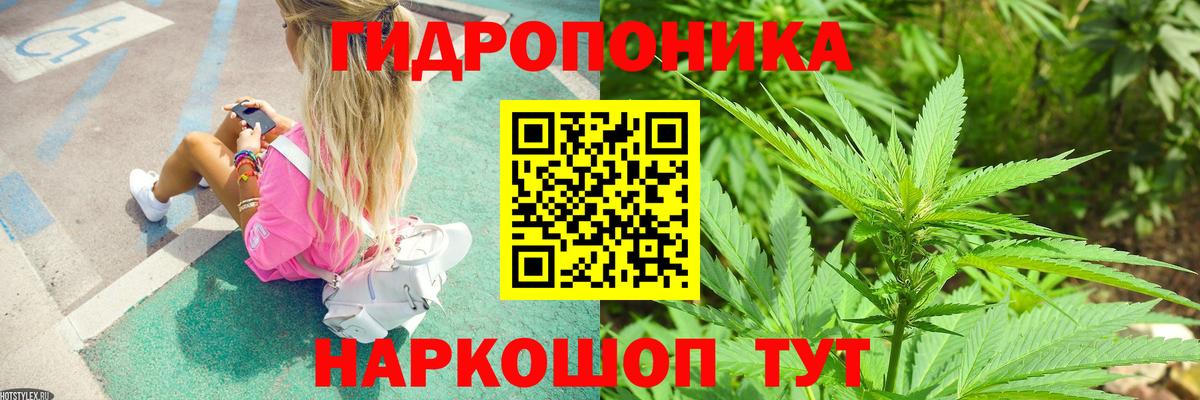 Бошки Шишки THC 21%  Канабис OG Kush  Вход с VPN  Кулебаки  Конопля Bruce Banner 